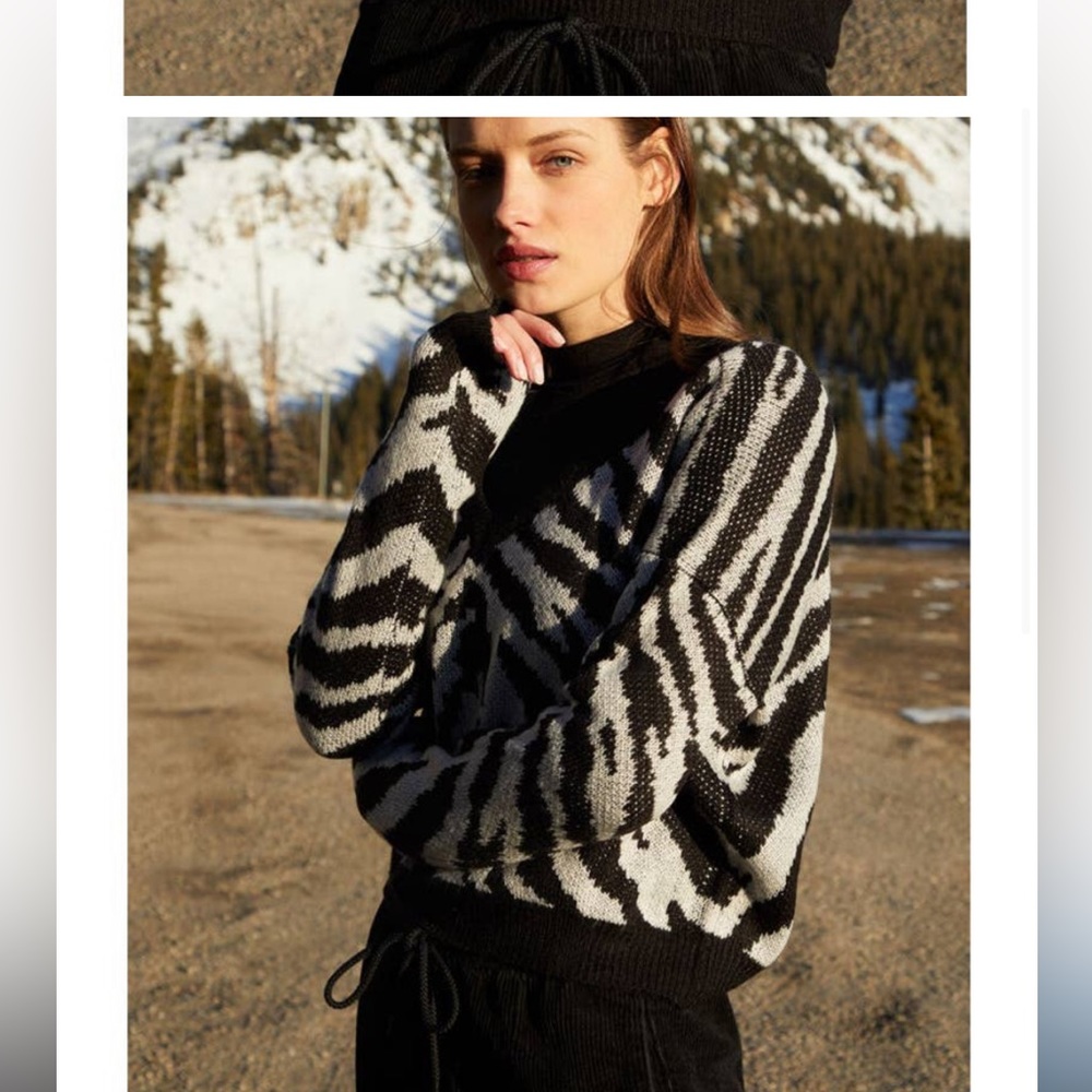 Kendal and Kylie Zebra Print Weekend knit V-Neck off shoulder sweater PacSun